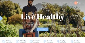 Mildhill – Organic and Food Store Theme