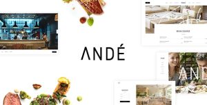 Andé - Elegant Restaurant Theme