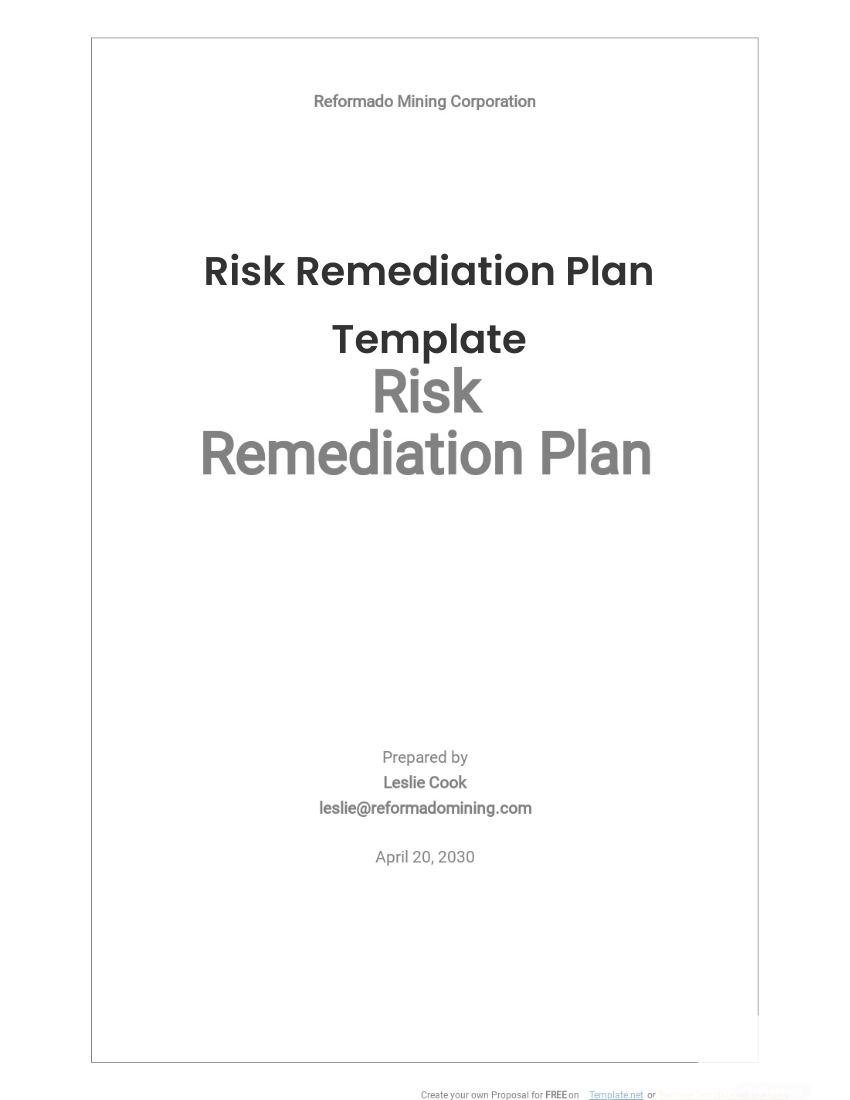 Risk Remediation Plan Template Free Download